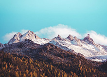 KOK体育：让热情与数据同行的体育新纪元